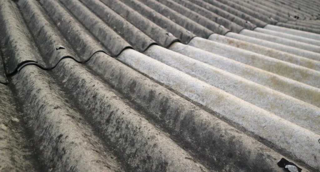 Weathered corrugated asbestos cement roof tiles covered in dirt and algae